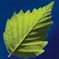 Economics of Energy and Environmental Policy
