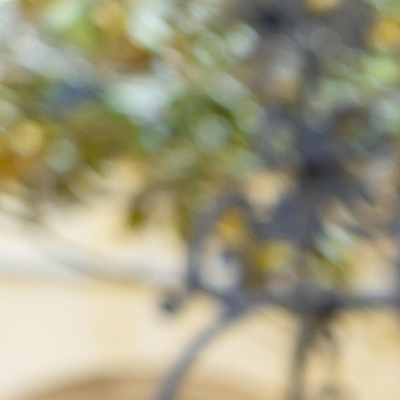 Portrait picture of Marco Botta