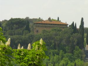 SalviatiOK