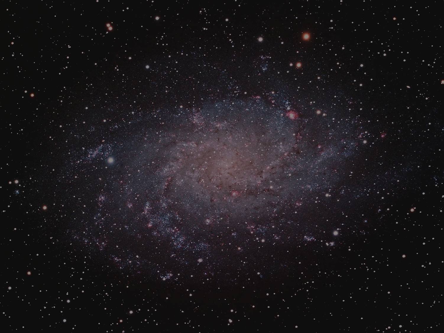 eBook versions of Elsevier ‘Handbooks in Economics’ now available to EUI members