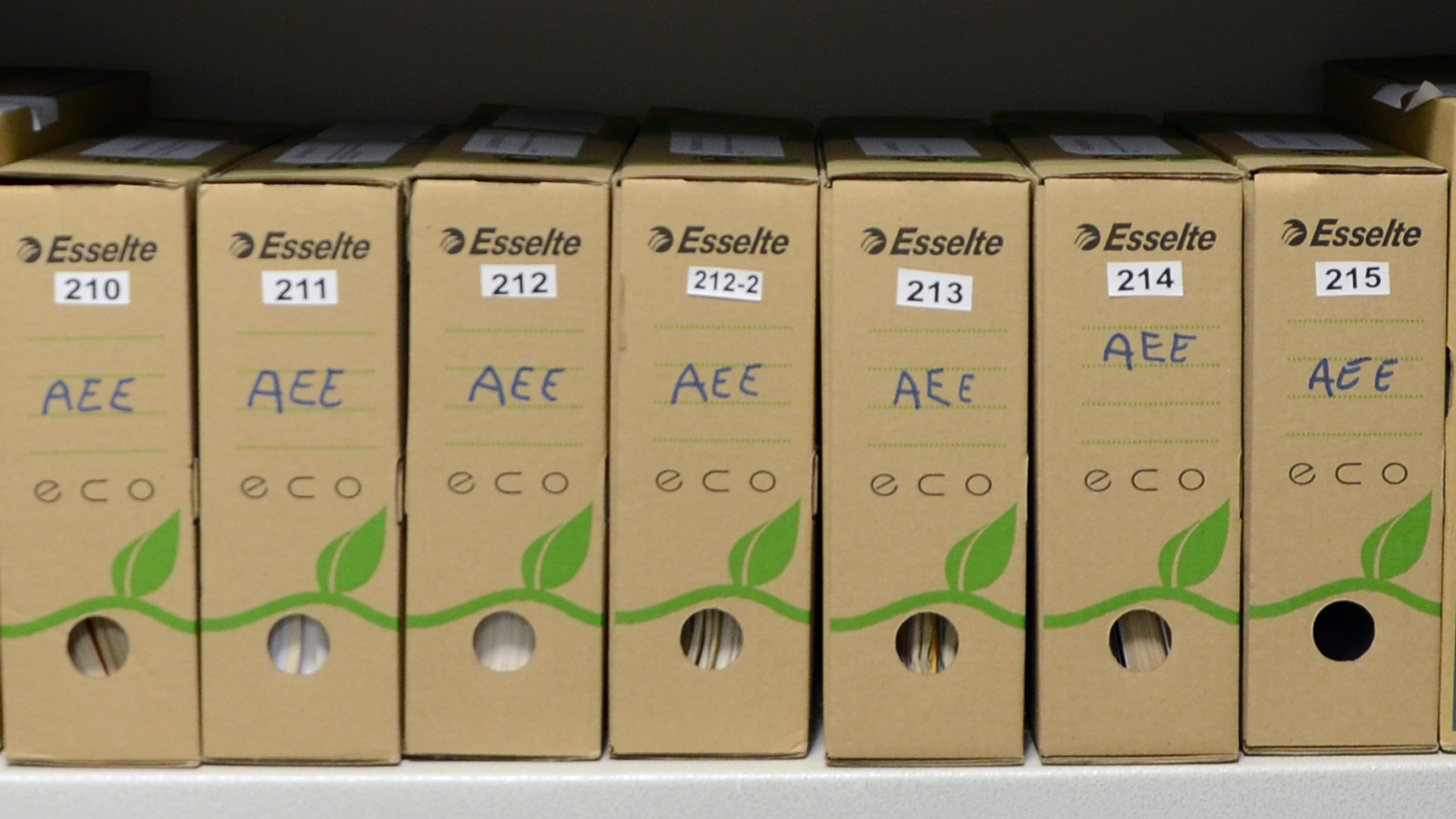 HAEU-AEE1