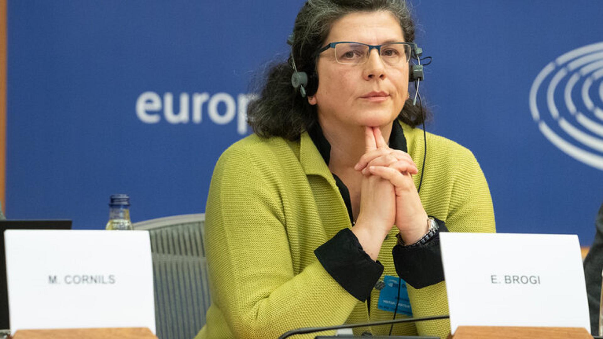 Elda Borgi at the European Parliament during a public hearing on the Media Freedom Act