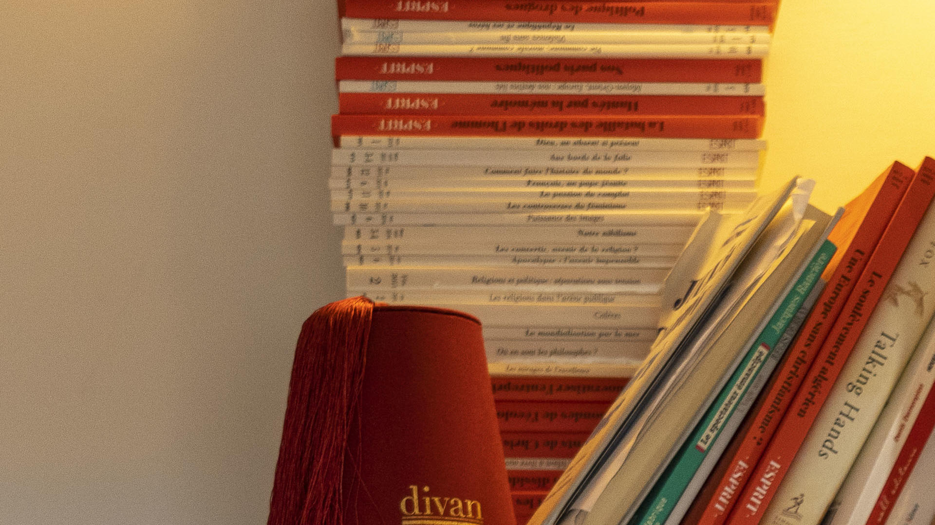 'It was too late to prevent the fall of Kabul' Olivier Roy on