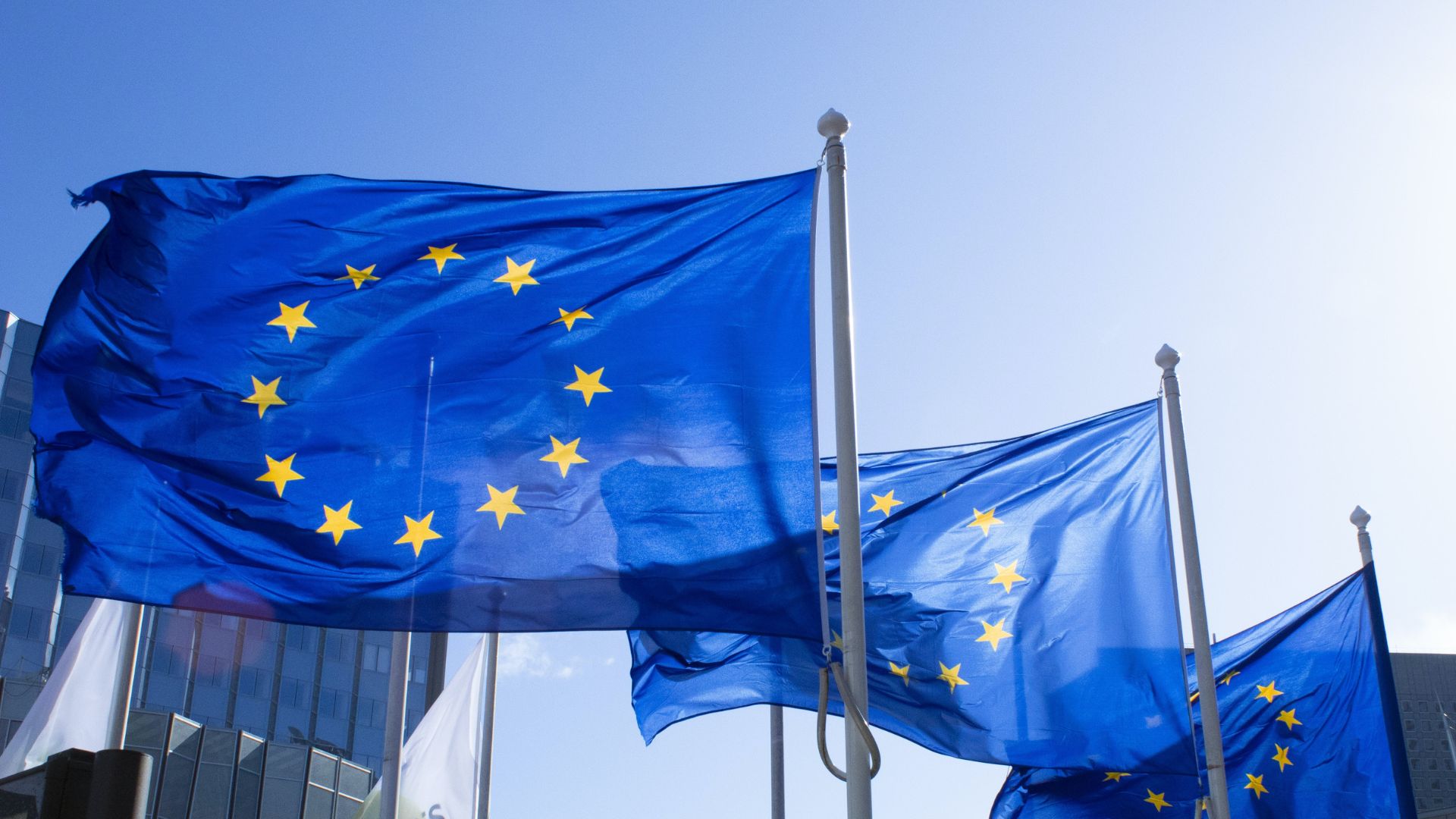 Political manifesto EU_banner