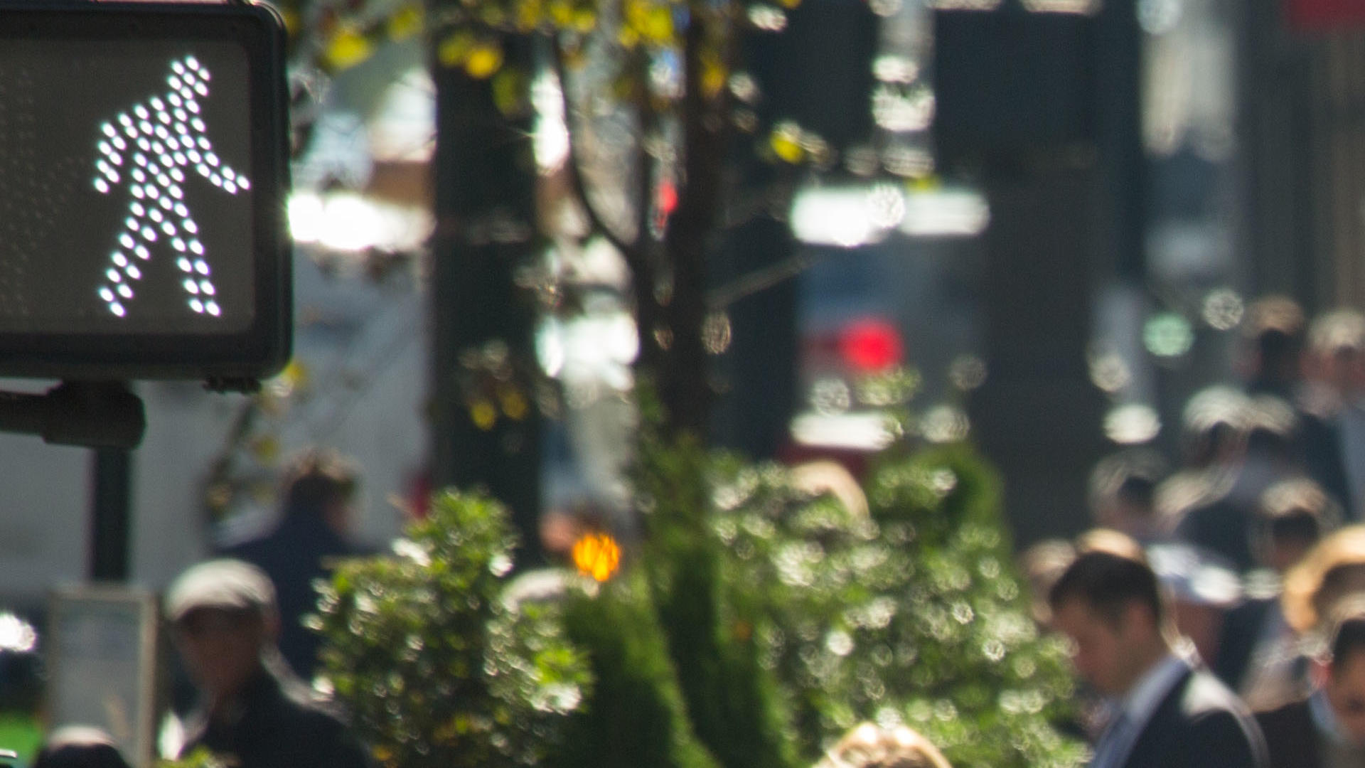 Tholens Oped News pic