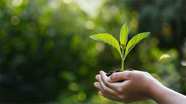 landing_page_STGClimate_small