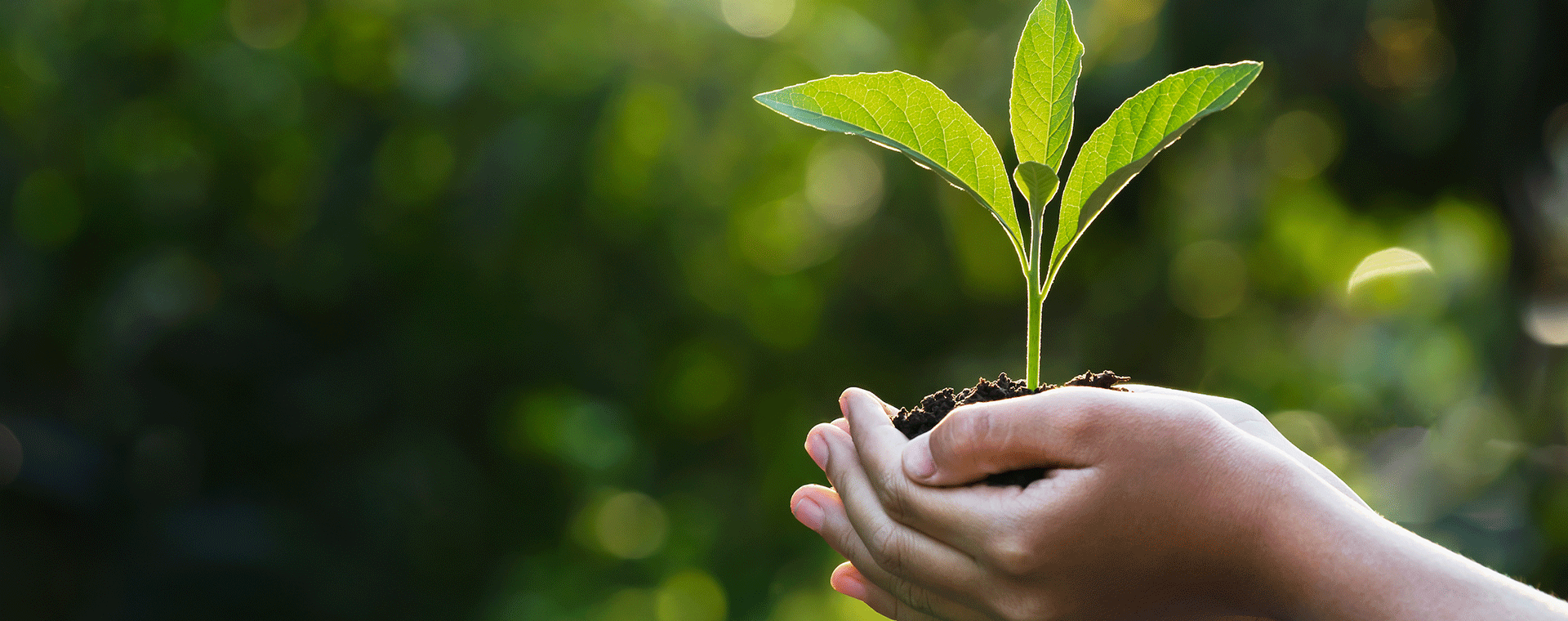 landing_page_STGClimate