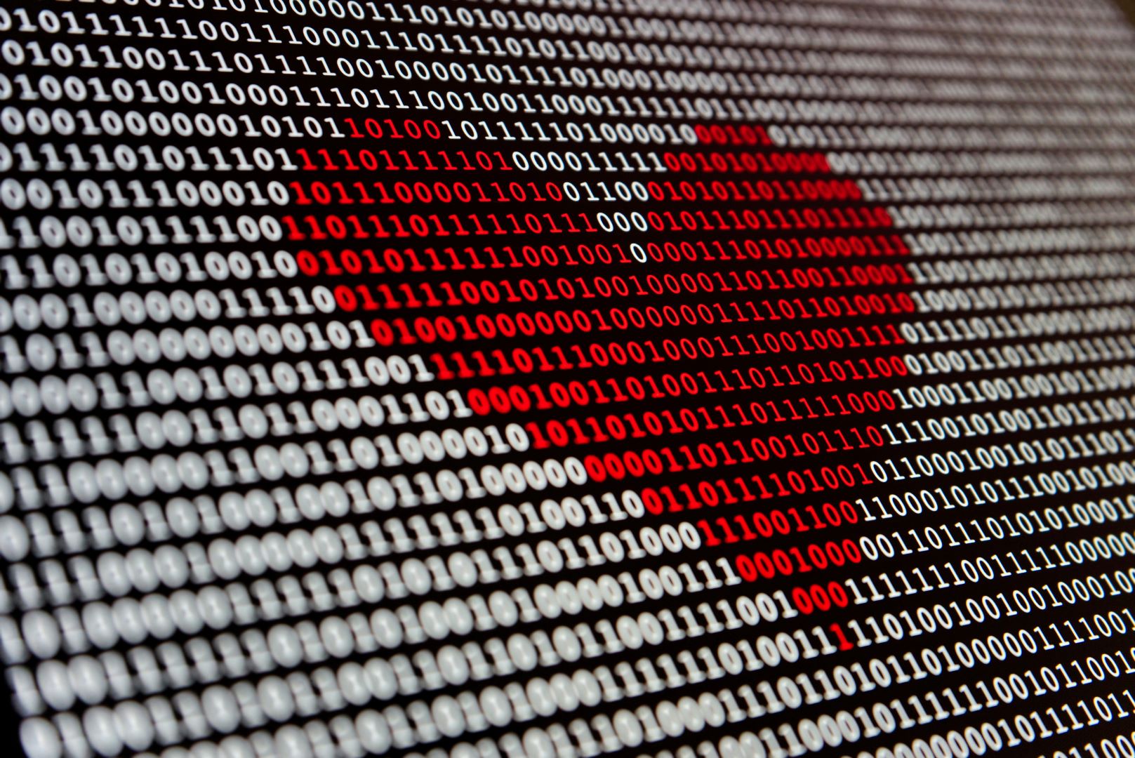 4 ways to celebrate Love Data Week at EUI