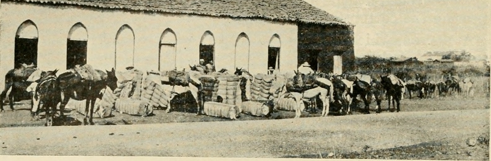 50th EUI Research Dataset Added to the Research Data Collection in Cadmus