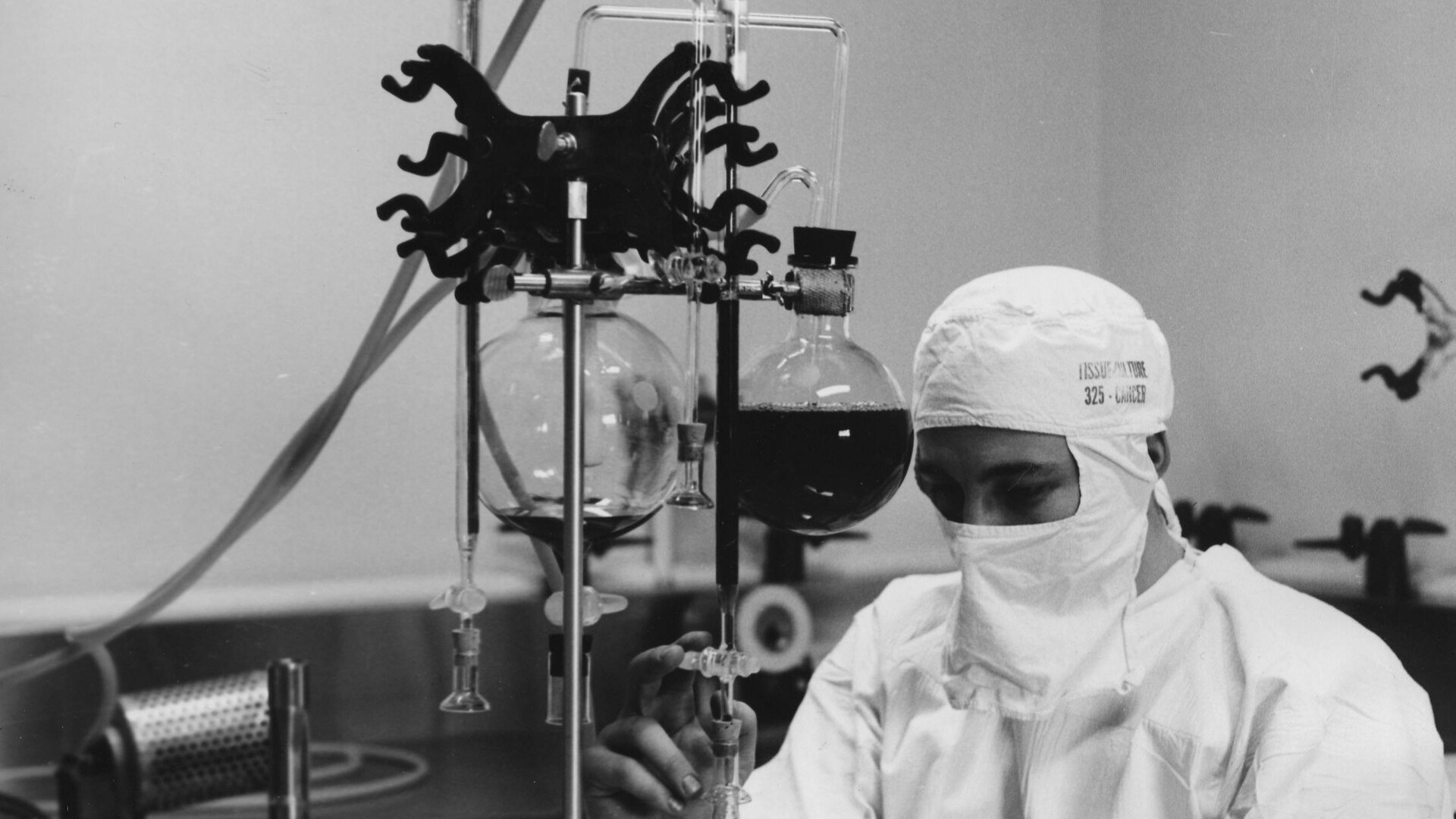 This image shows a scientific laboratory environment focused on research or production activities.