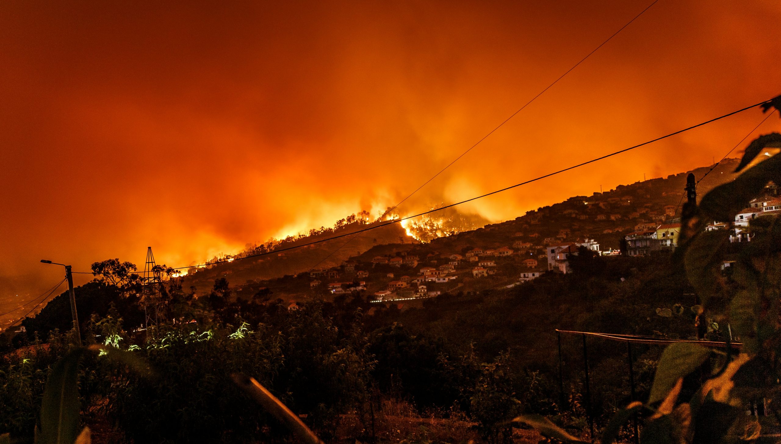 Climate change: Feeling the heat but keeping it cool
