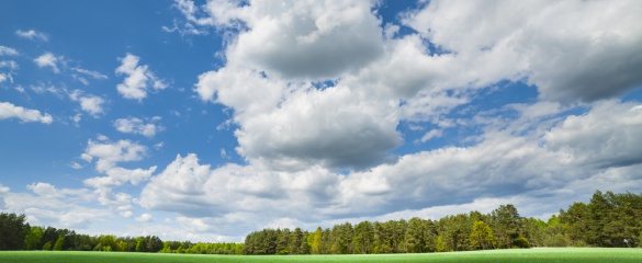 Launch of the European Open Science Cloud (EOSC)