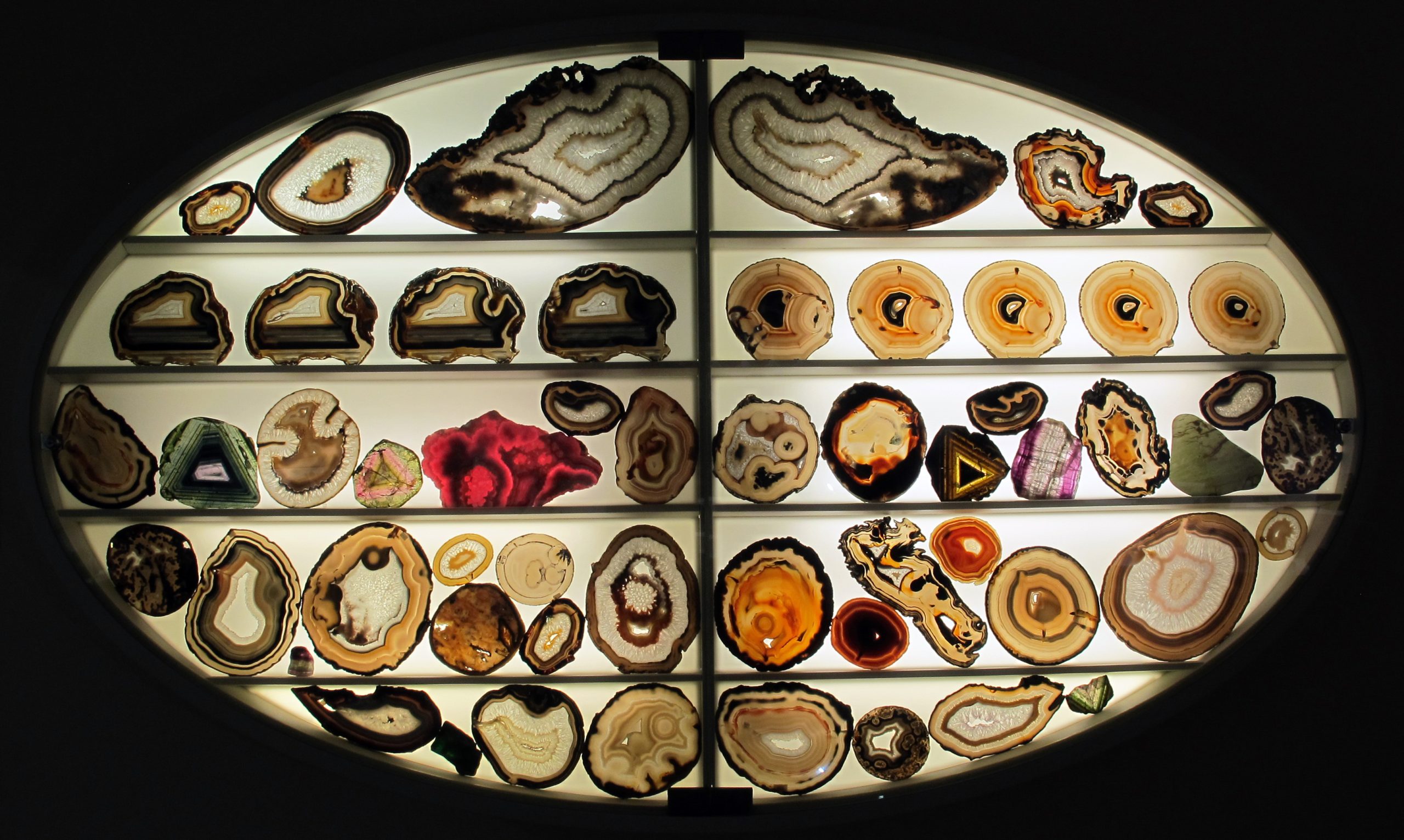 Roundtable ‘Curating and Researching Science: Conversation with La Specola?’