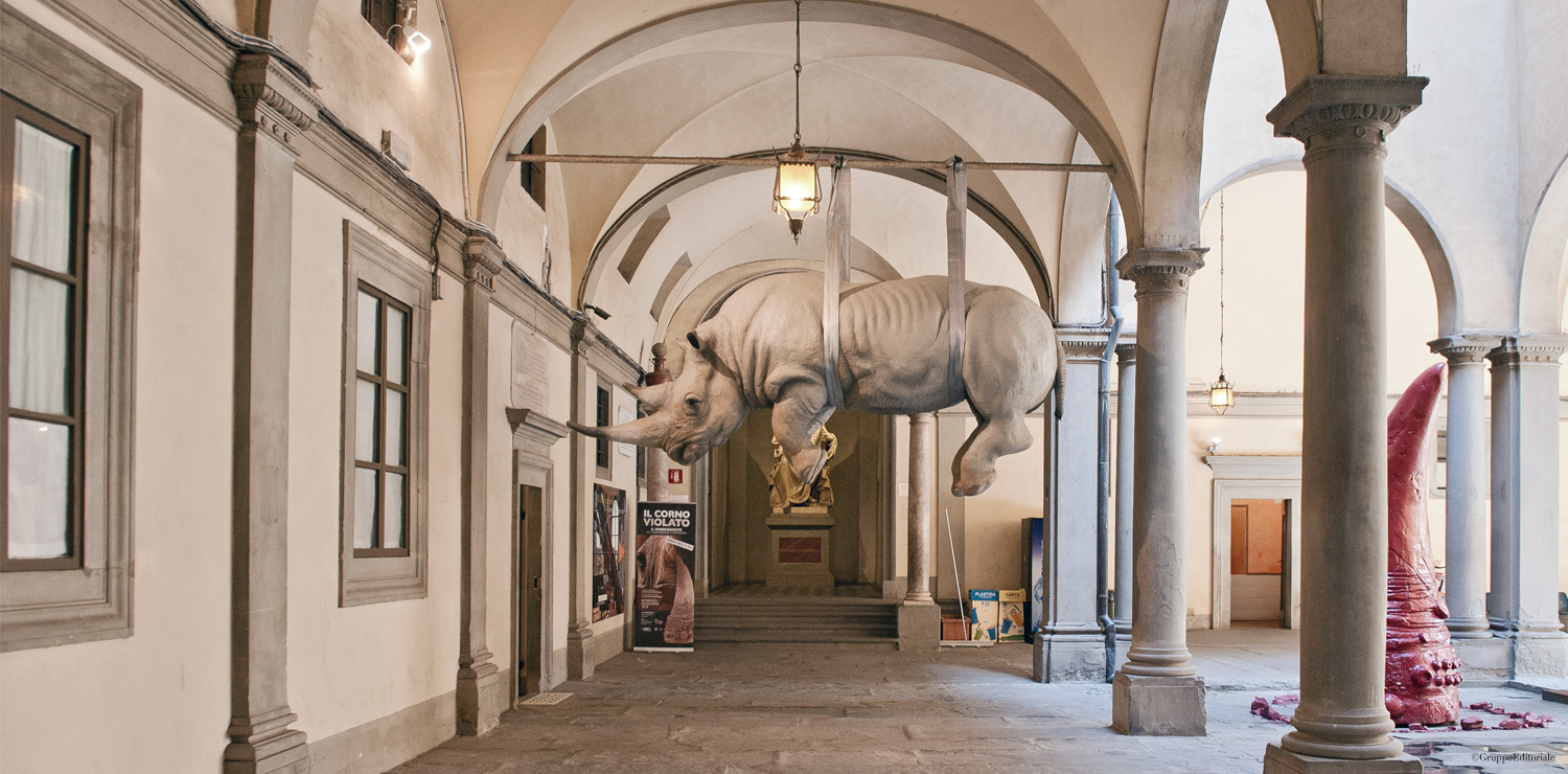 Visit of the Museum of Anthropology and Ethnology