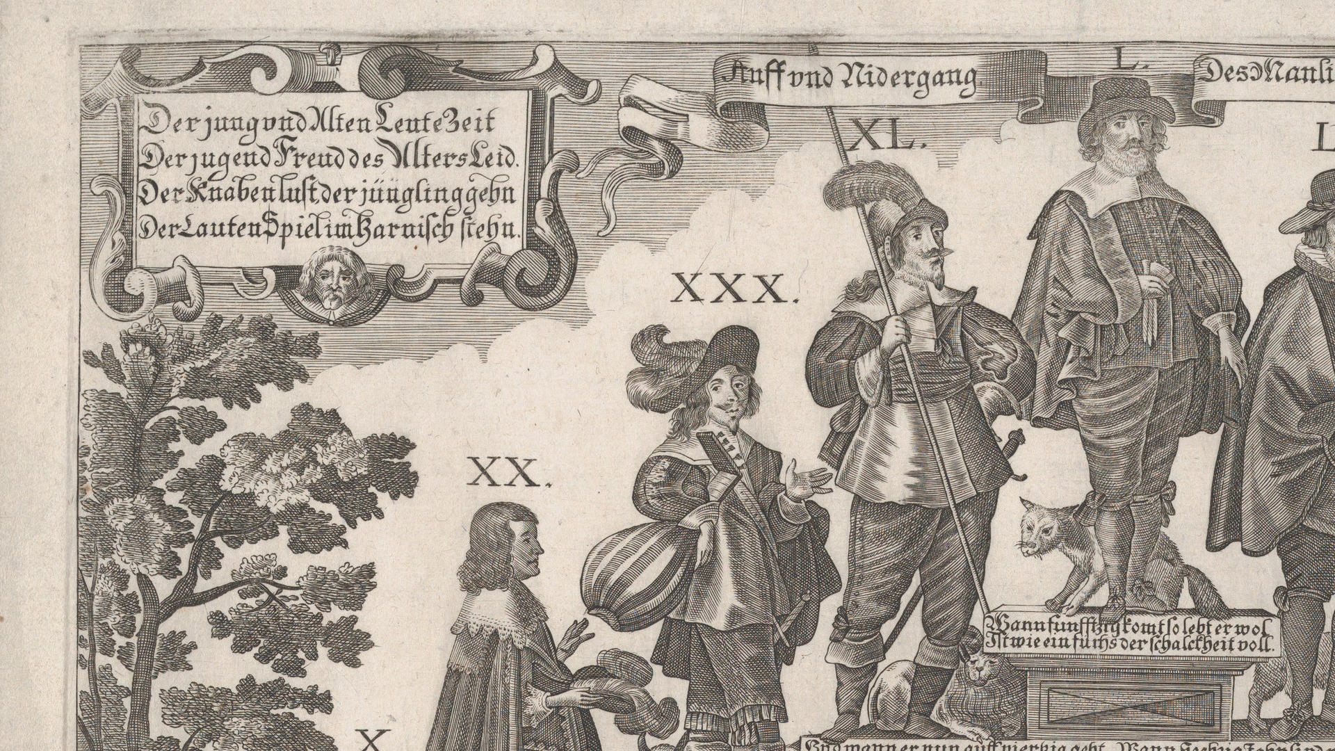 The deep roots of old-age welfare • European University Institute