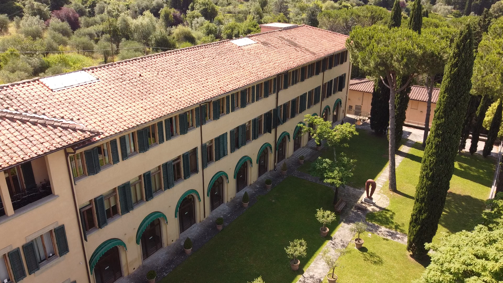 Library from the sky