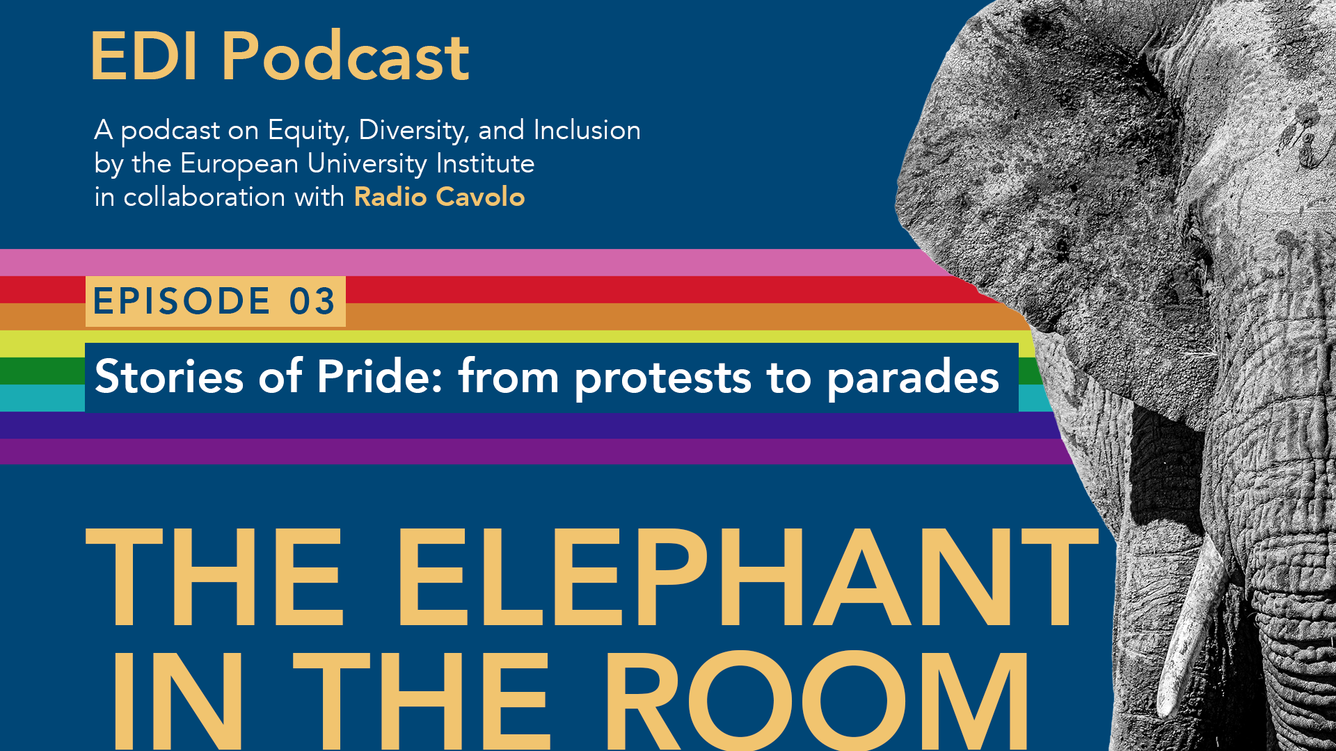 EDI Podcast_1
