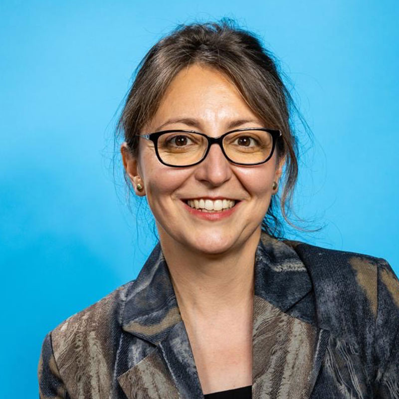 Diana-Camelia-Iancu-2026