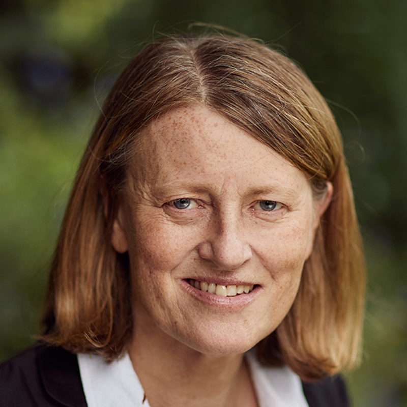 Portrait picture of Helen Margetts