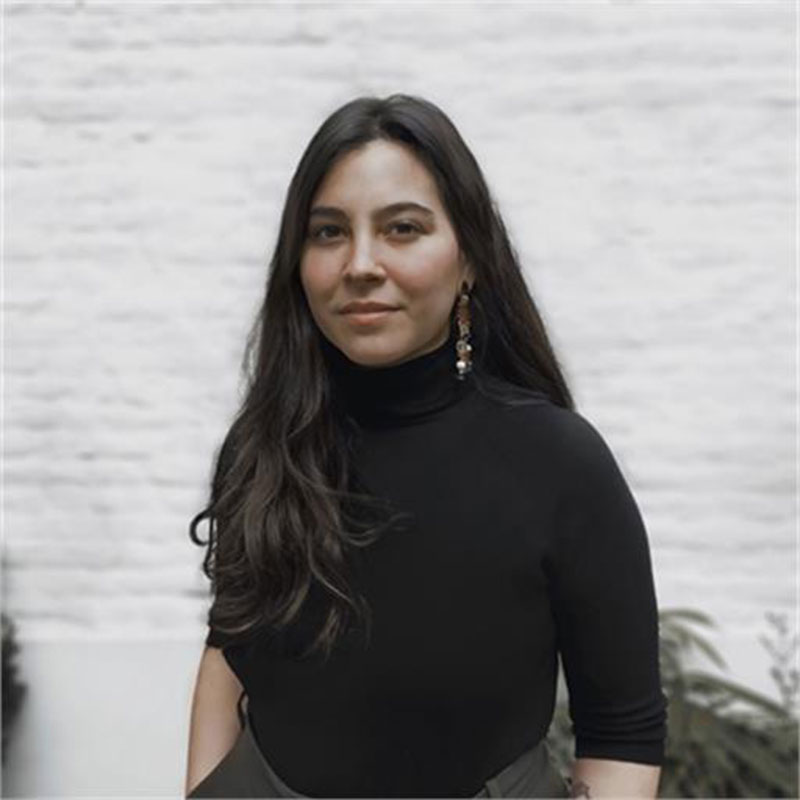 Portrait picture of Irene Alonso Toucido