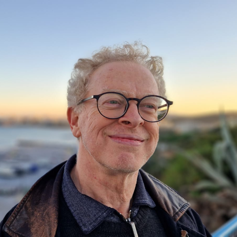 Portrait picture of Laurent Manderieux