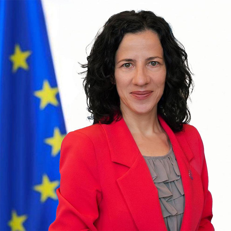 Portrait picture of Roxana Minzatu