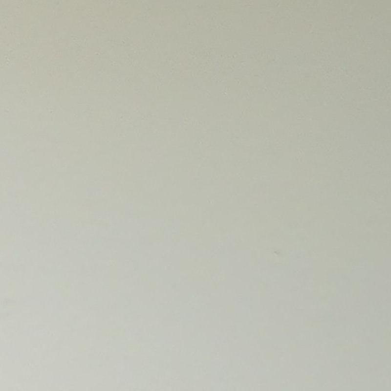 Portrait picture of Carlotta Elena Osti