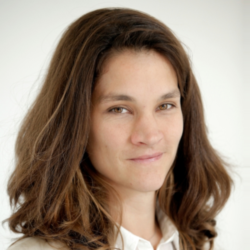 Portrait picture of Veerle Colaert