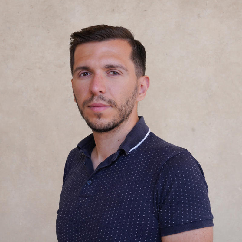 Portrait picture of Georgian-Marius Ghincea