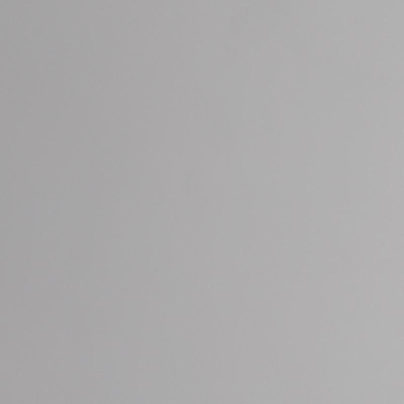 Portrait picture of Max Steuer