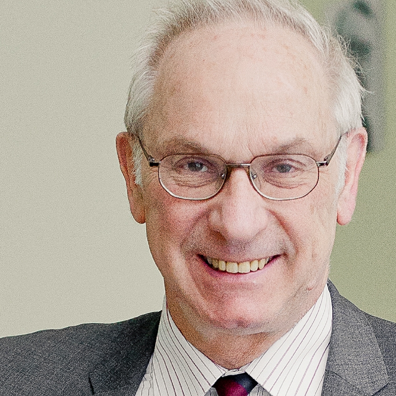 Portrait picture of Wolfgang Wessels