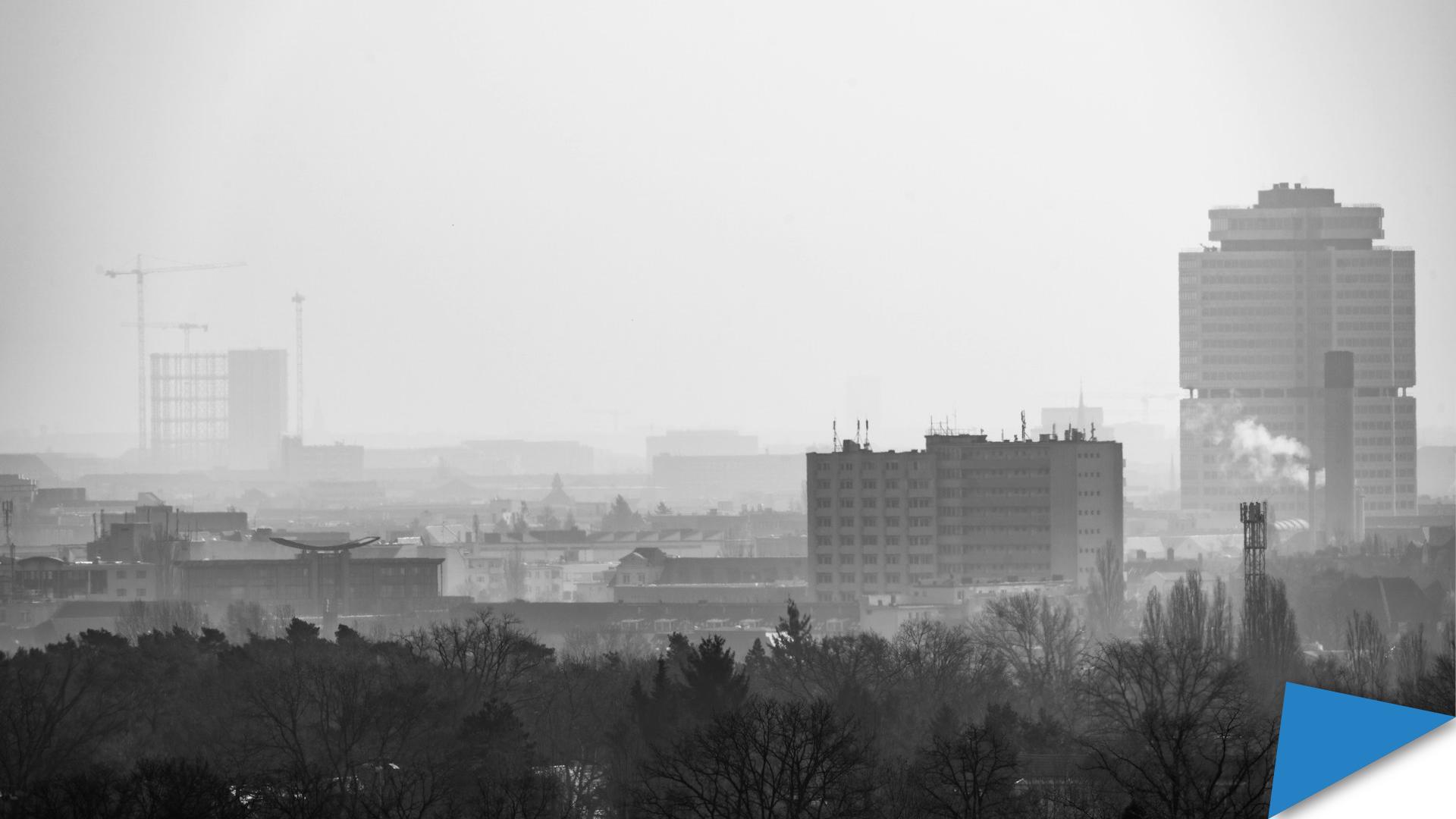 24.11.25_Web Banner_MyEUI Benjamin & Ismael ECO