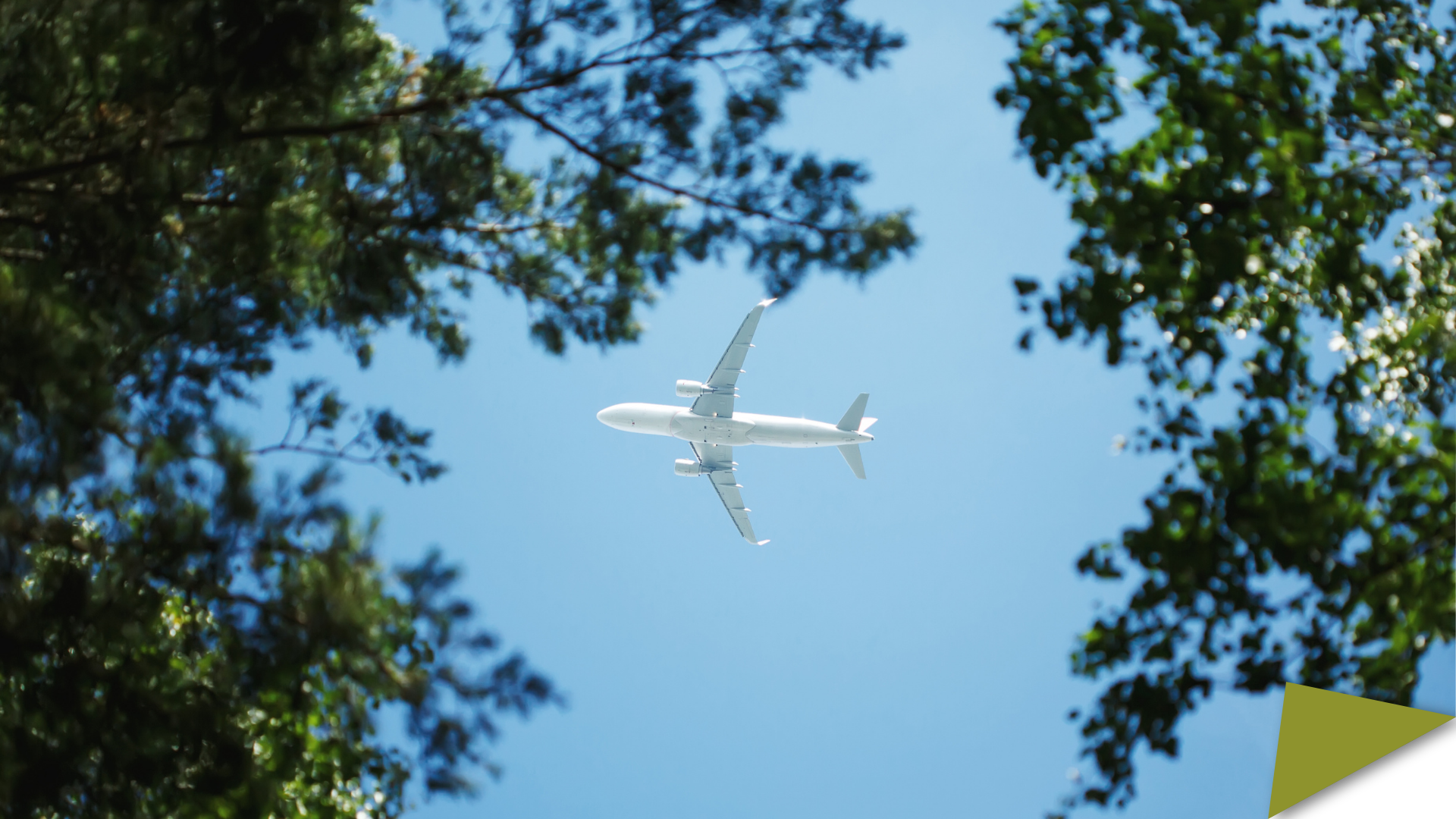 Bottom view on jet airplane flying in the sky overhead among green trees.