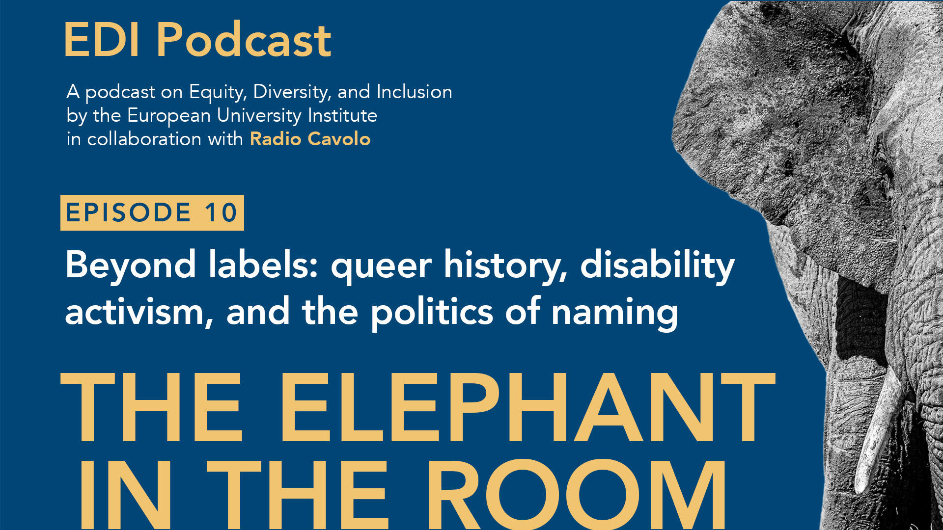 EDI Podcast EP 10 News banner