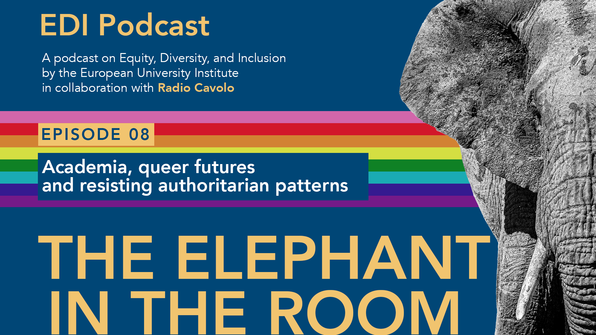 Banner displaying an elephant, for EDI Podcast episode 8, by the EUI in collaboration with Radio Cavolo, entitled "The elephant in the room", about Academia, queer futures and resisting authoritarian patterns.