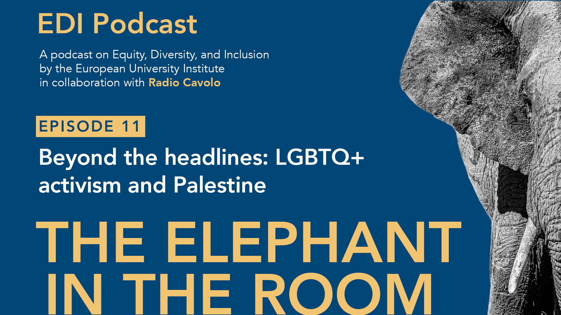 EDI Podcast EP 11 News banner