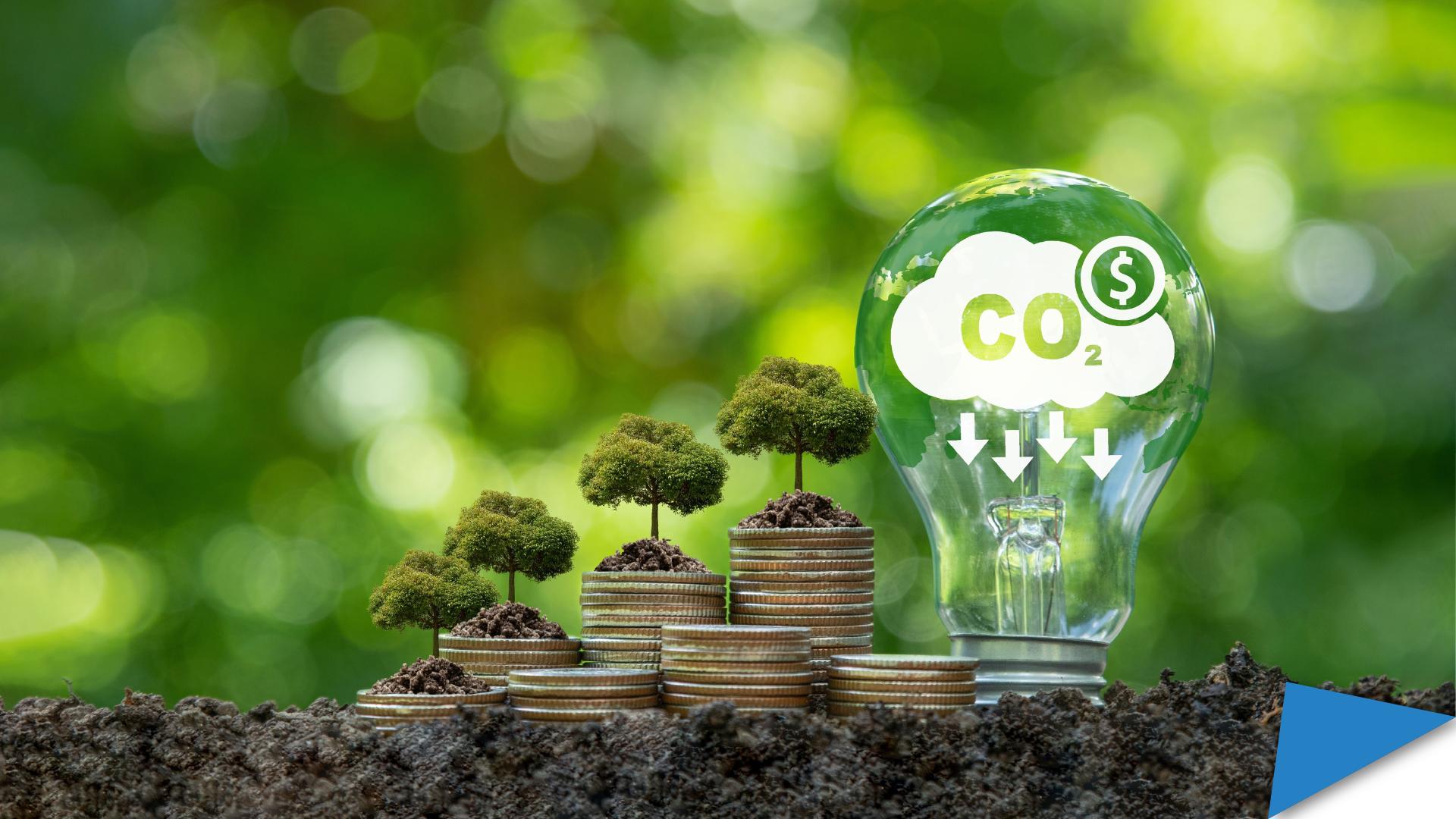 Eva Franzmeyer news_web banner