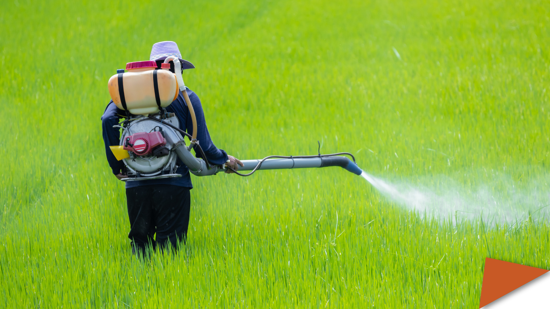 A person wearing protective gear sprays crops with a backpack pesticide sprayer in a green field.
