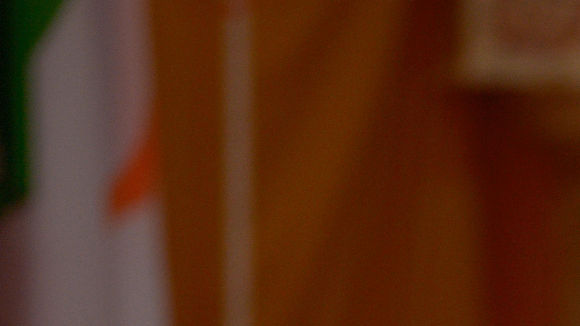 Sacha Prechal_Law honoris causa 2024