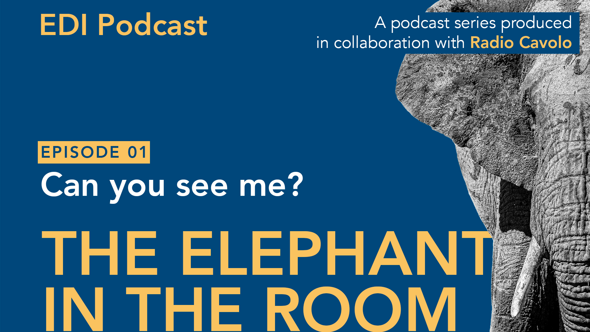 The elephant in the room_Podcast1