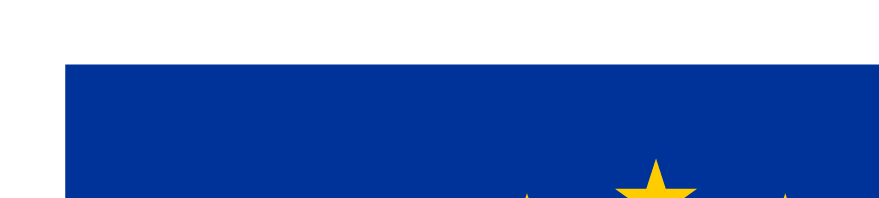 Co-funded by the European Union Logo