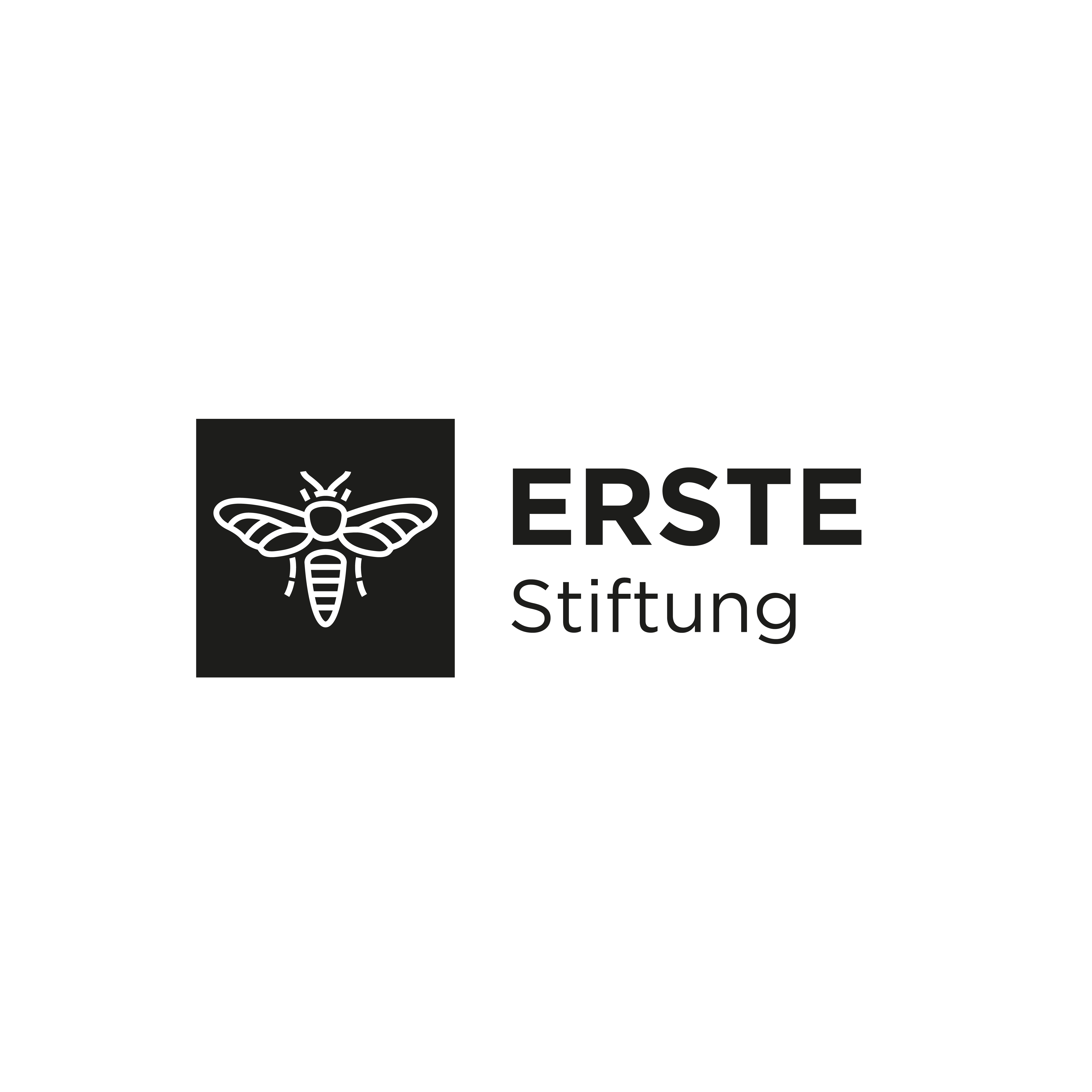ERSTE Stiftung logo