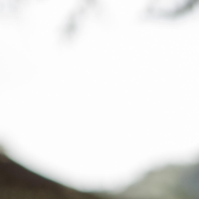 Portrait picture of Livia Hinz