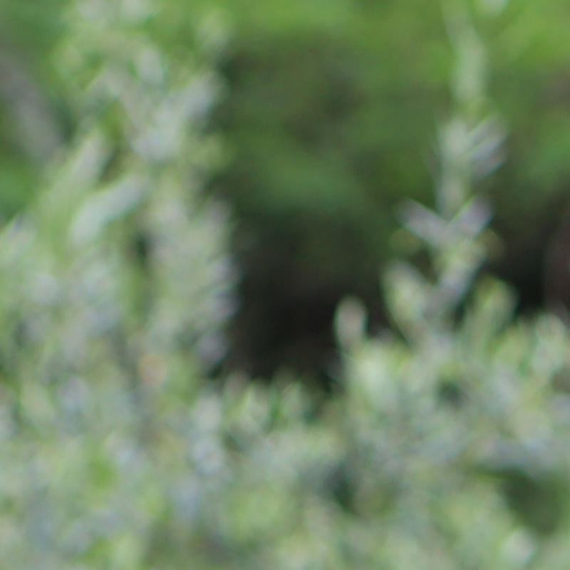 Portrait picture of Lukasz Wieczerzak