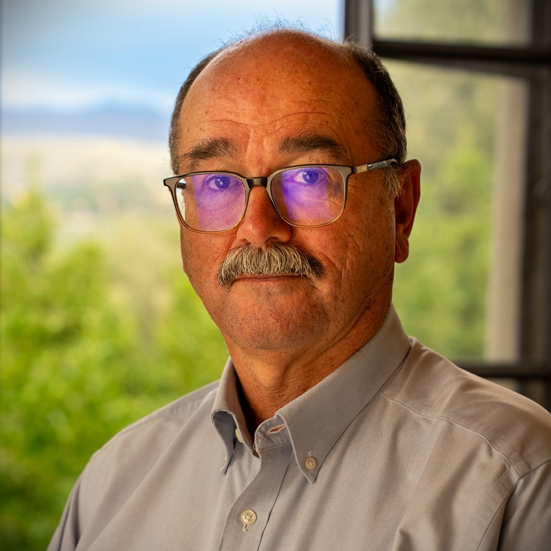 Portrait picture of Bernard Hoekman