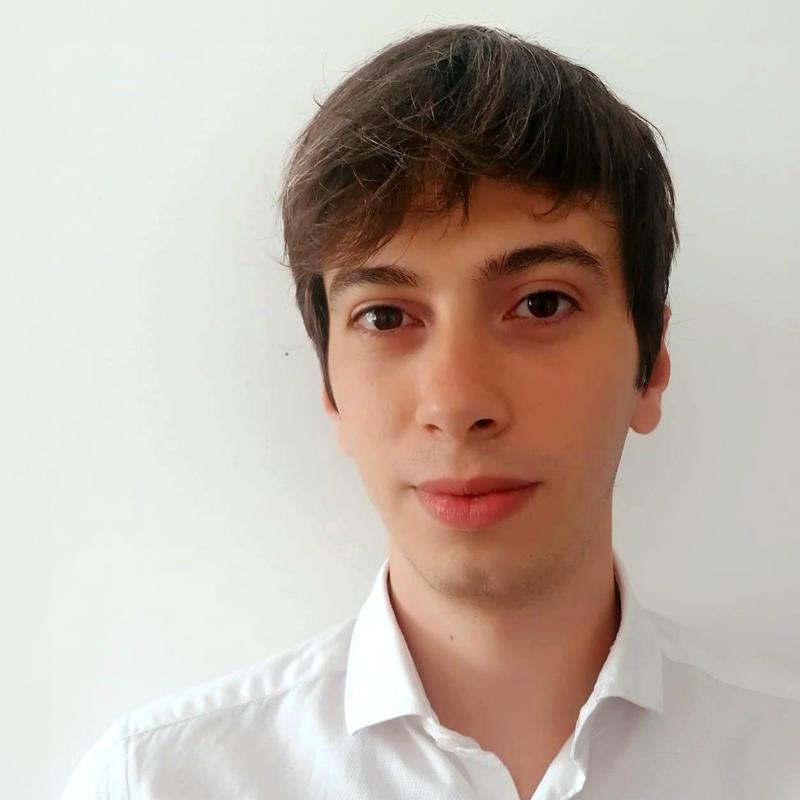 Portrait picture of Michele Castegini