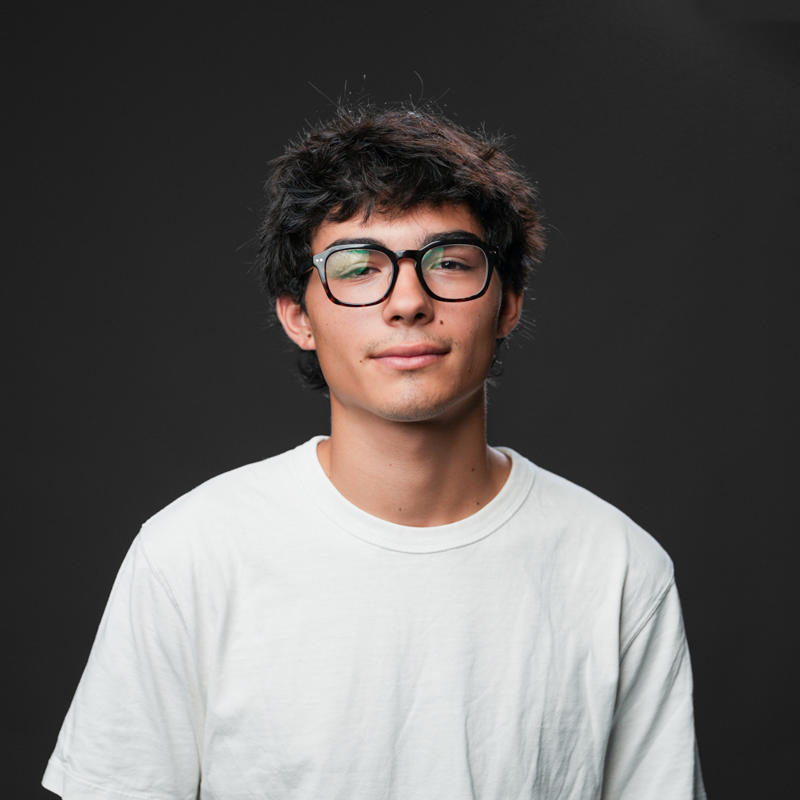 Portrait picture of Felix Daems