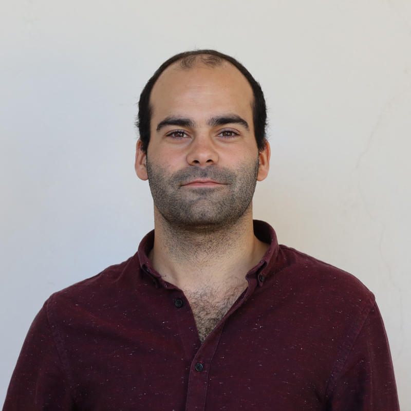 Portrait picture of Filipe Bento Caires
