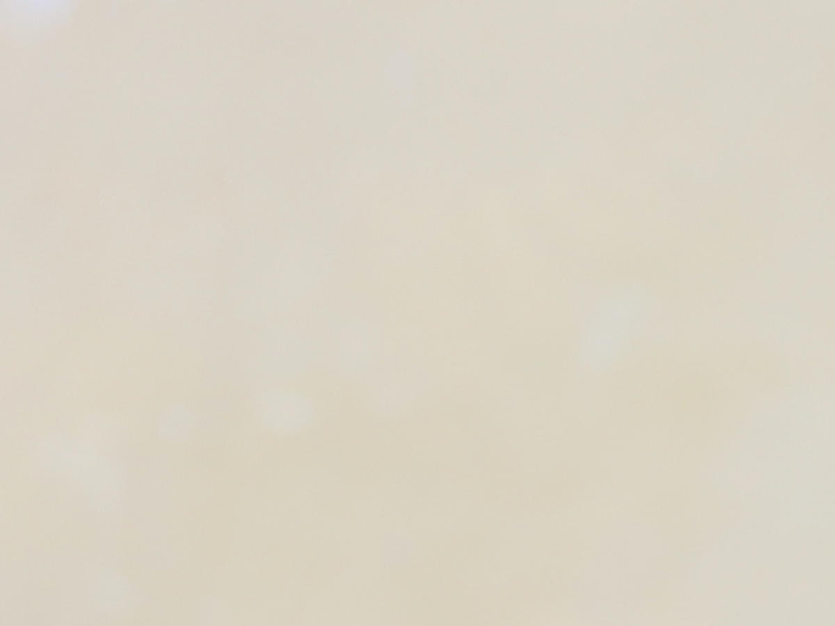 Giancarlo-Casale-2021-new