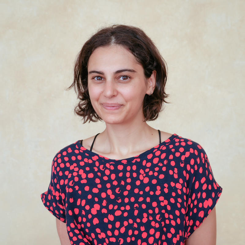 Portrait picture of Helena K. Jahromi